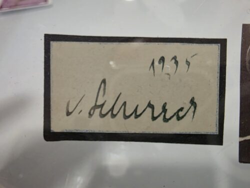 Original Baldur von Schirach 1935 Cut Signature – Historical Autograph Display